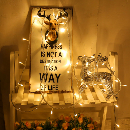 LED Fairy String Lights