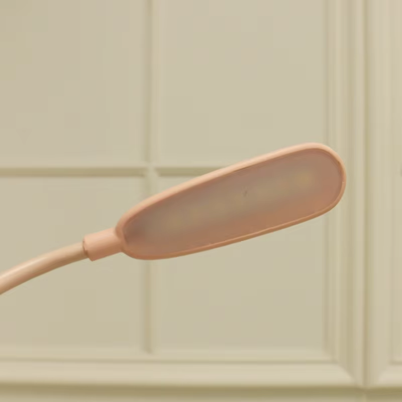 Cartoon LED Desk Lamp with Flexible Neck and Night Light