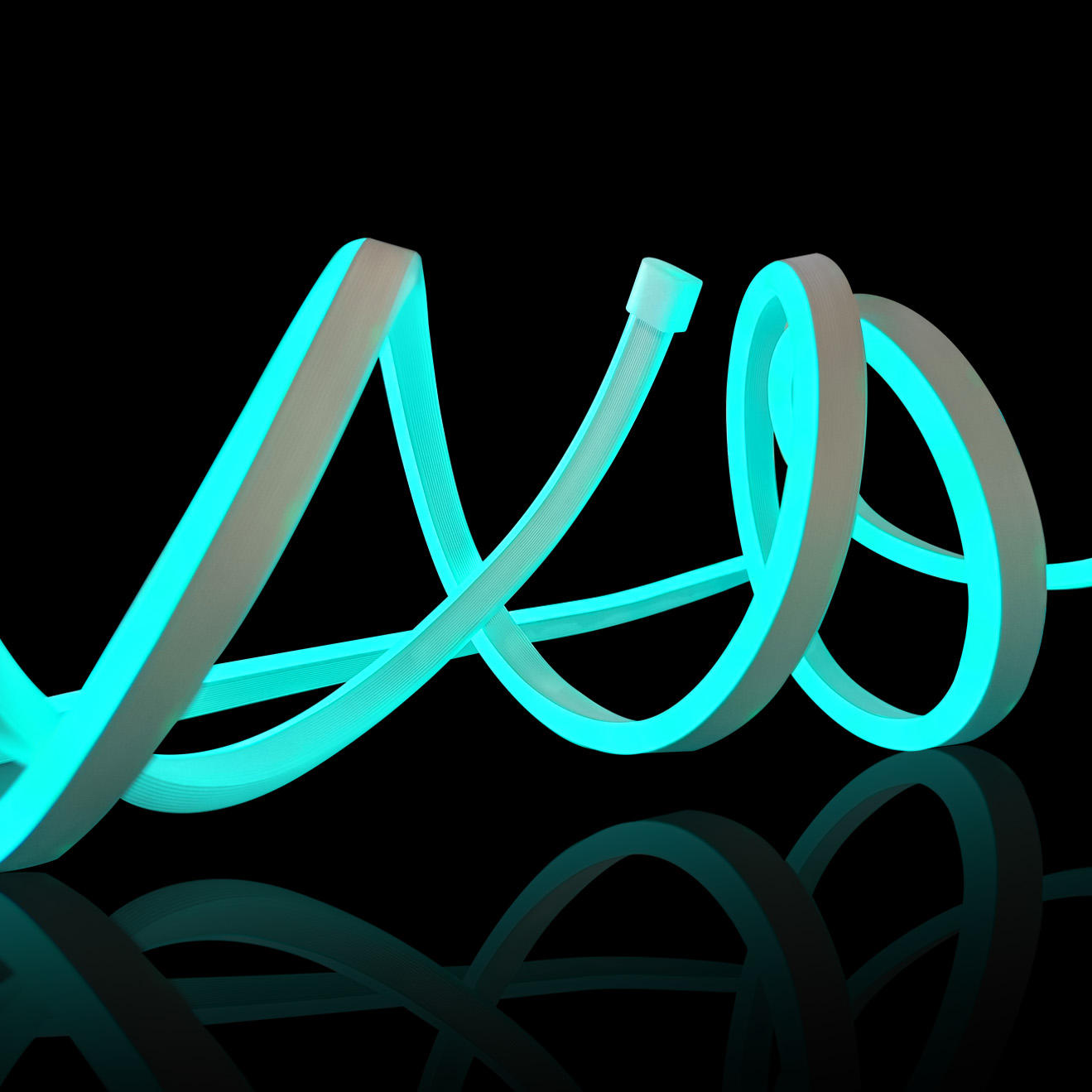 RGBIC LED Neon Rope Light